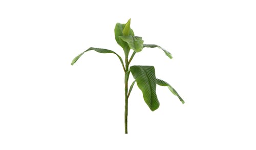 Florabelle Banana Leaf Spary