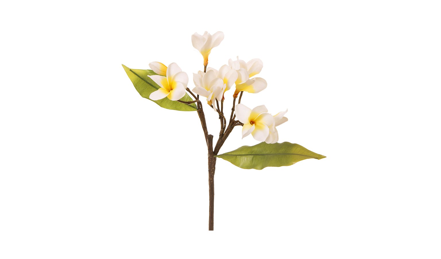 Florabelle F20WY Frangipani Spray - White
