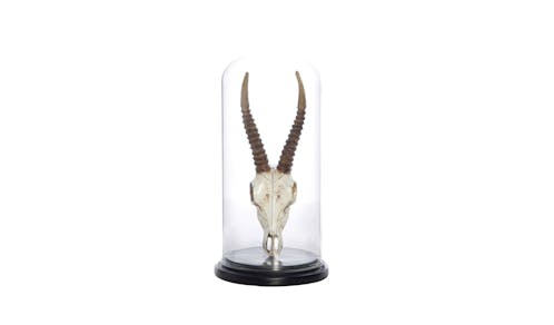 Swing Gift DORSET NYDOSC Impala Skull I/Cloche-01