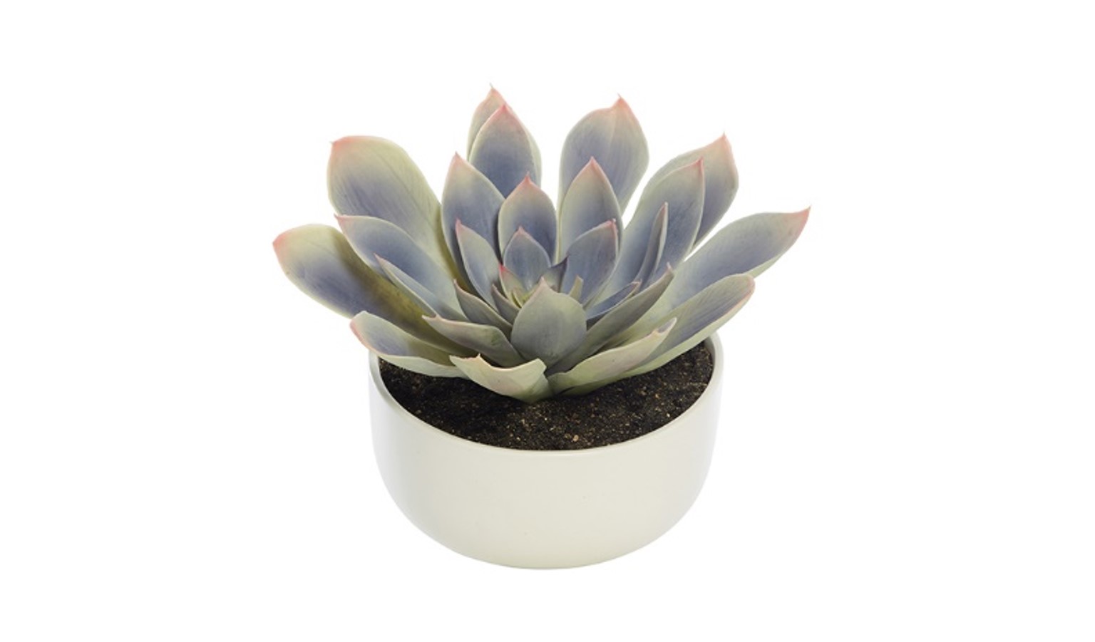 Swing Gift Daintree In Bowl White Harvey Norman Malaysia