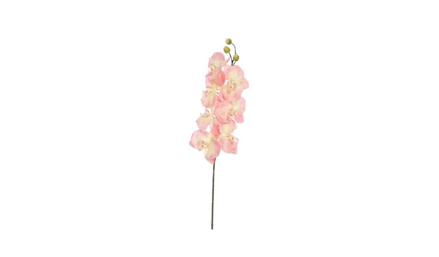 Swing Gift Naomi Dusty Orchids - Pink - 01