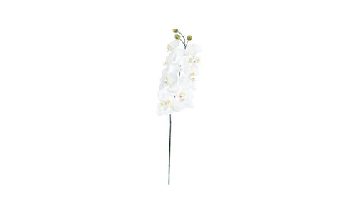 Swing Gift Naomi Dusty Orchid - White - 01
