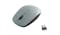 CLiptec RZS844 Wireless Optical Mouse - Grey_01
