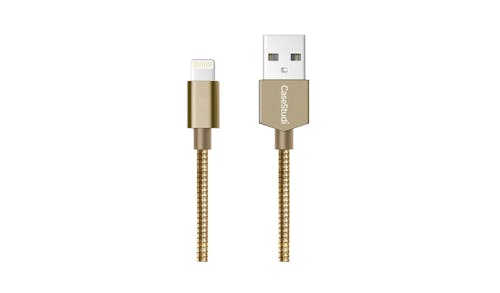 Casestudi 1M Lightning Cable - Armour Gold 01