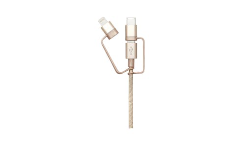 Casestudi 1m 3-IN-1 Cable - Gold 01