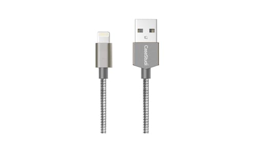 Casestudi 2M Lightning Cable - Armour Silver 01