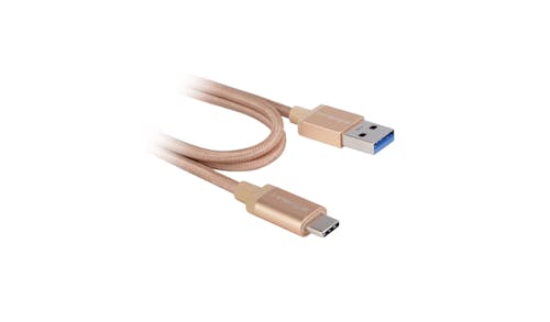 Innergie MagiCable USB-C to USB-A - Gold_01