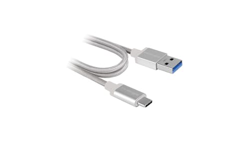Innergie MagiCable USB-C to USB-A - Silver_01