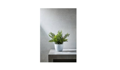 Swing Gift Fern 35cm Leaf Pot - White-01