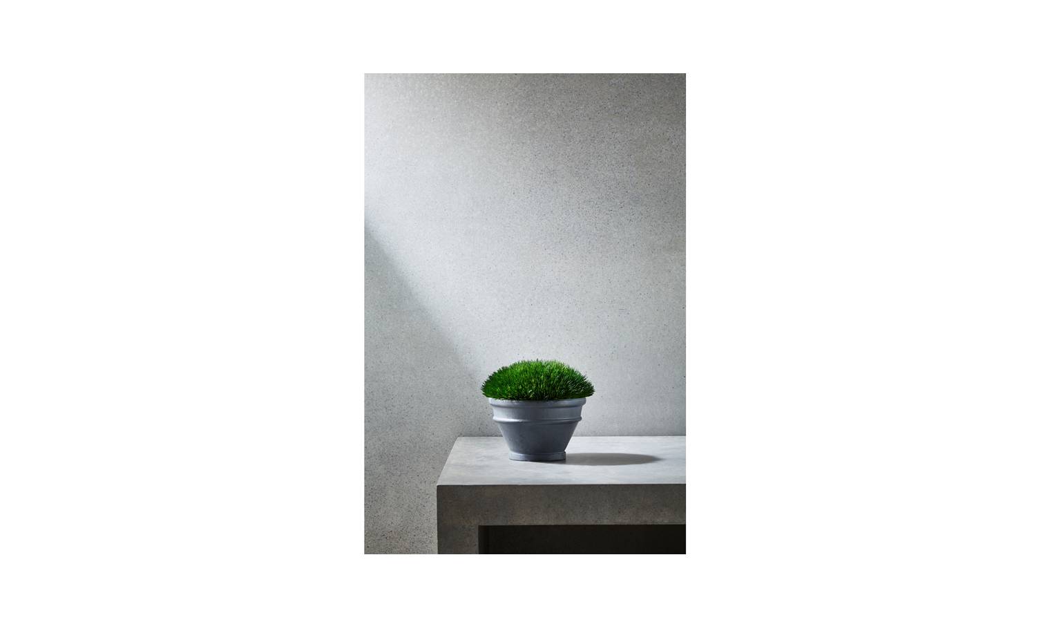 Swing Gift Mondo Grass Round Moss Pot-01