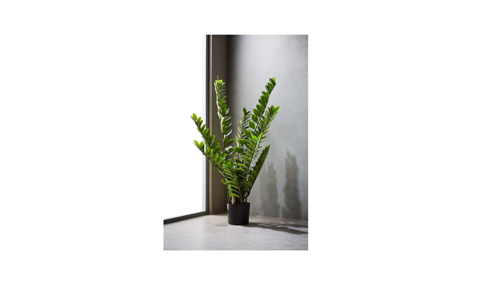 Swing Gift Potted 130cm-01