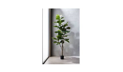 Swing Gift  Potted 5' Fiddle Tree-01