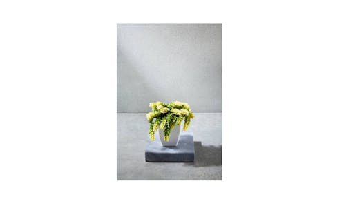 Swing Gift Succulent Pot - Green/Yellow-01