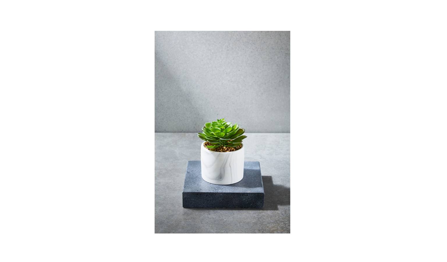 Swing Gift  Succulent in Marble Pot - Green-01