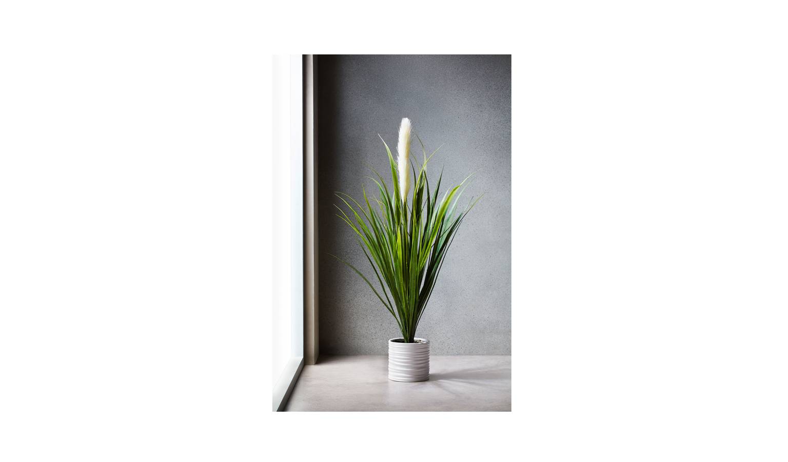 Swing Gift Sword Grass 109cm Pot - White-01