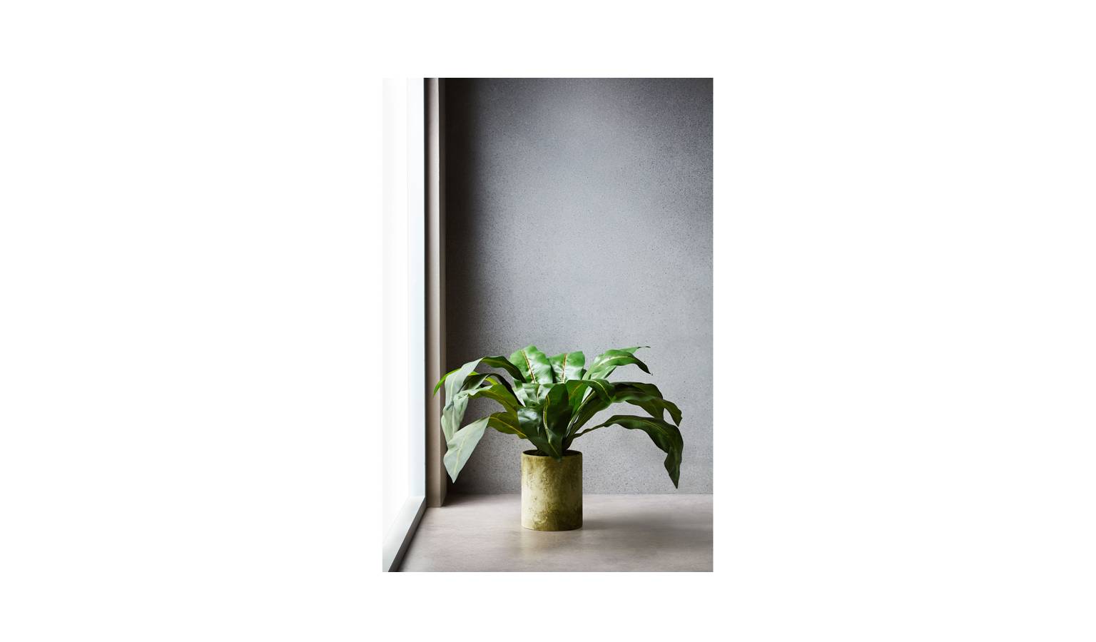 Swing Gift  Trop Leaves Round Pot-01