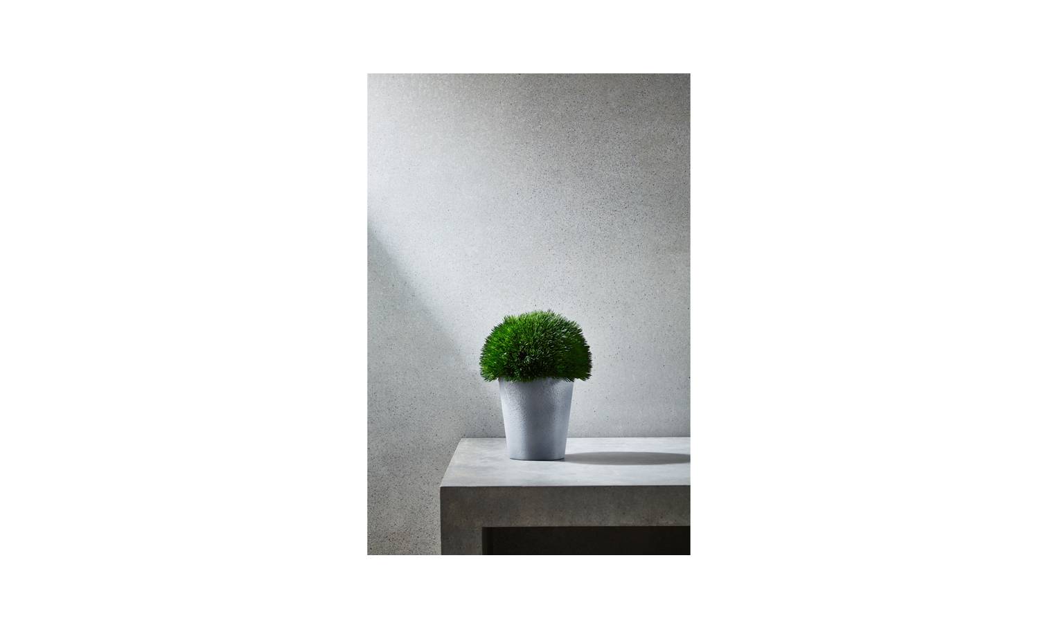 Swing Gift  Potted Grass Small H/Ball-01