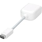 Apple Mini-DVI to Video Adapter (Front)