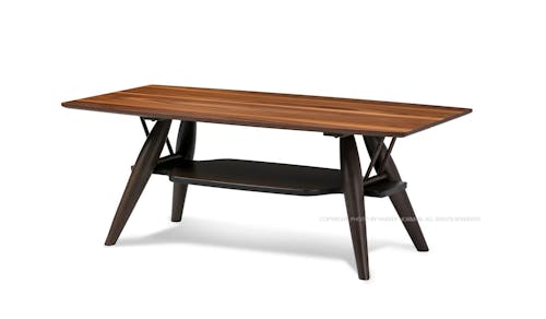 Parkly Coffee Table (IMG 1)