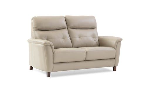Cobber Thick Leather Fixed 2 Seater Sofa - Grey (IMG 1)