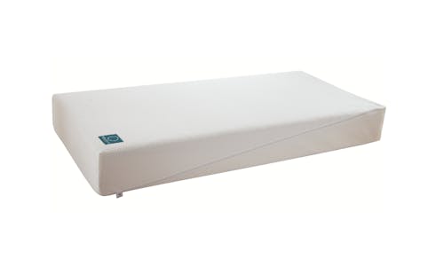 Tech Ambient Delux Single 8-inch Mattress - Roll