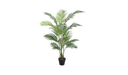 Areca Palm with Pot - 160cm