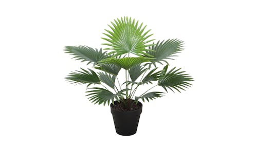 Fan Palm with Pot - 45cm
