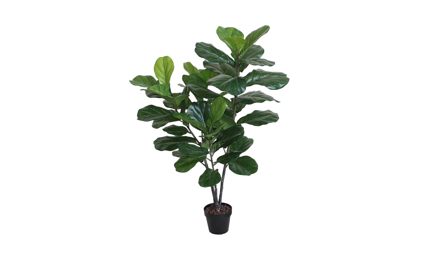 Fiddle Leaf Tree with Pot - 120cm