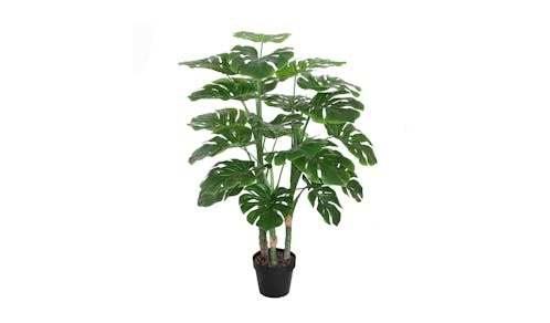 Monstera with Pot - 100cm