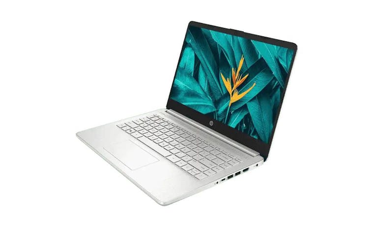 HP Laptop 14S-DQ5048TU 14-inch Laptop - Natural Silver (IMG 3)