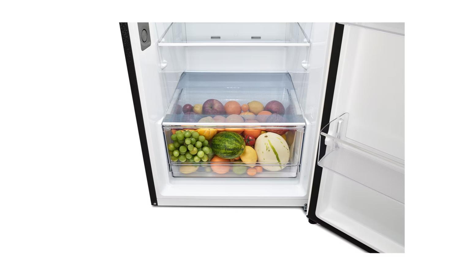 LG 360L 2 Door Refrigerator with Top Freezer Fridge Nature Beige (GN