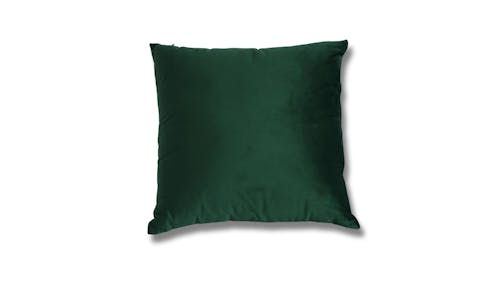 ASM Cushion - Green