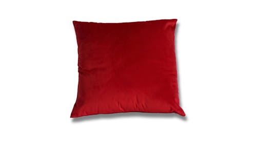 ASM Cushion - Red