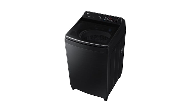 Samsung 19kg Top Load Washing Machine with Ecobubble™ (WA19CG6886BVFQ)