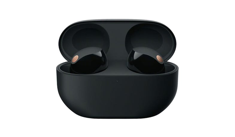 Sony WF-1000XM5/B Wireless Noise Cancelling Headphones - Black