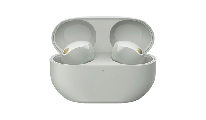 Sony WF-1000XM5/S Wireless Noise Cancelling Headphones - Silver