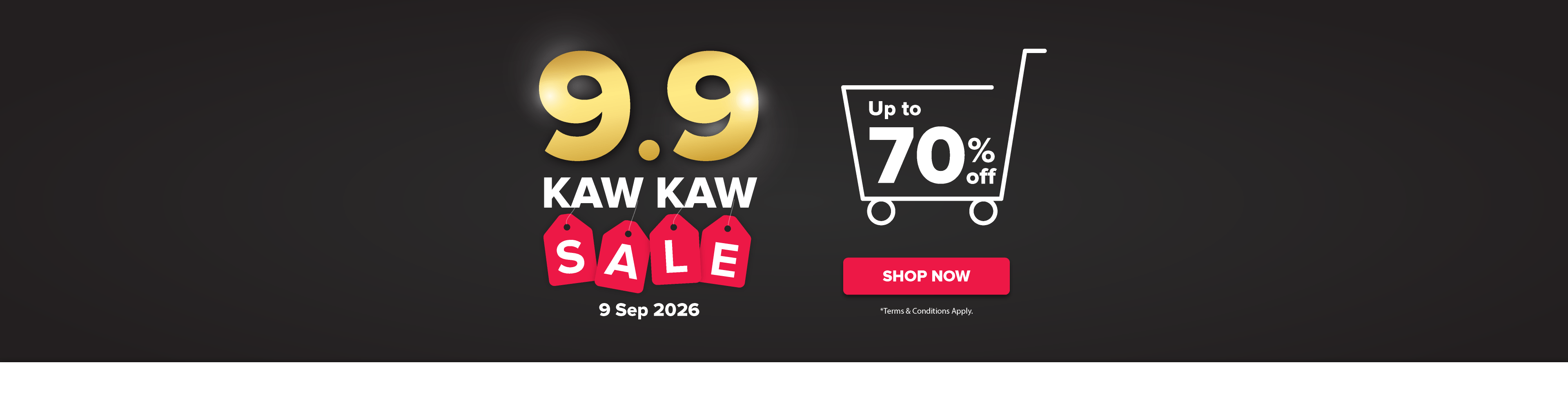 9.9 KAW KAW Sale 2026